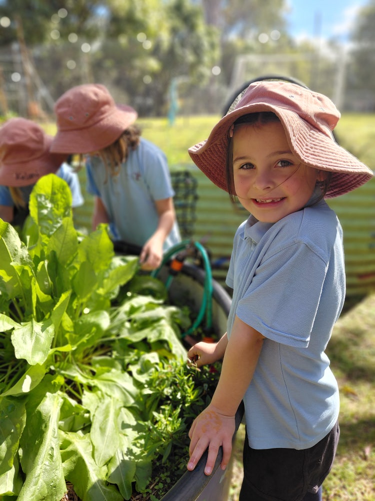 Student Gardening