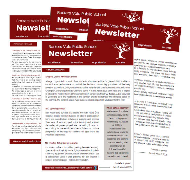 Newsletters